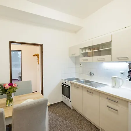 Kosodrevina Vysoke Tatry Apartament Štrbské Pleso