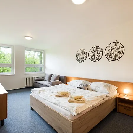 Apartment Kosodrevina Vysoke Tatry Štrbské Pleso