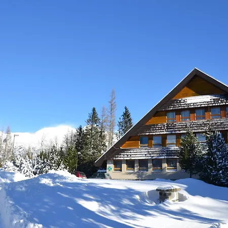 Kosodrevina Vysoke Tatry *